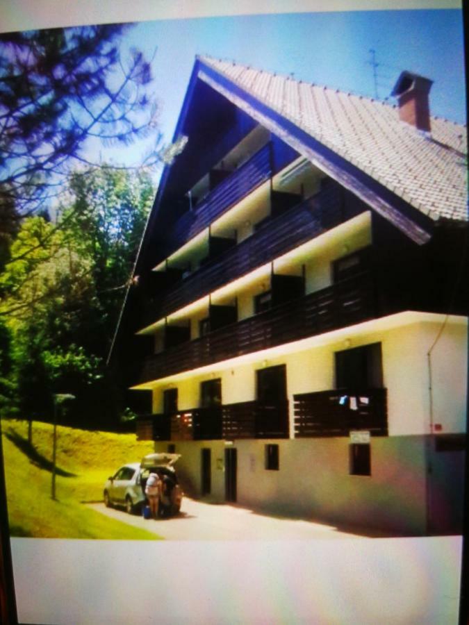 Ferienwohnung Planika B&M Bohinj Exterior foto