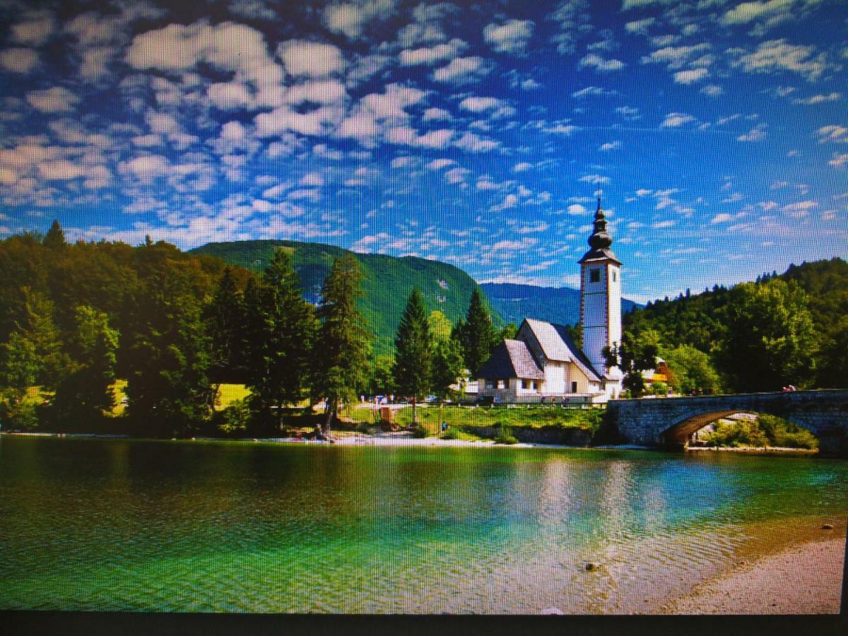 Ferienwohnung Planika B&M Bohinj Exterior foto