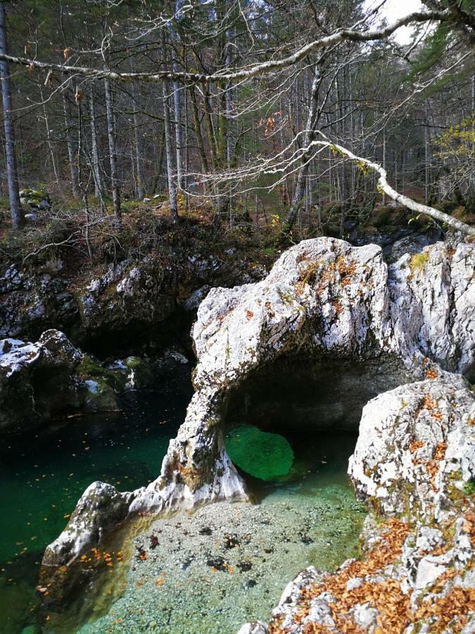 Ferienwohnung Planika B&M Bohinj Exterior foto