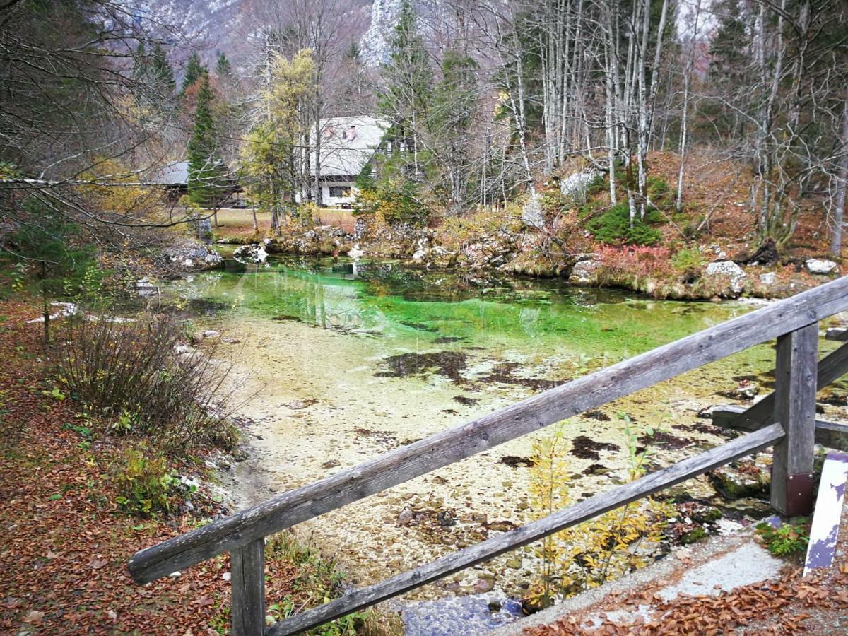 Ferienwohnung Planika B&M Bohinj Exterior foto